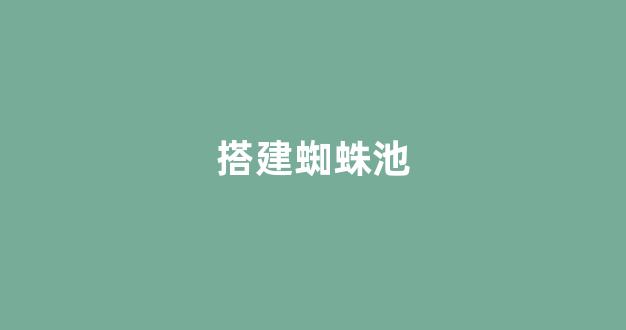 蜘蛛池对b2b有用吗